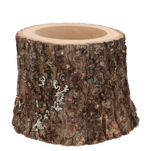 Eiche Übertopf D13/15cm H11cm