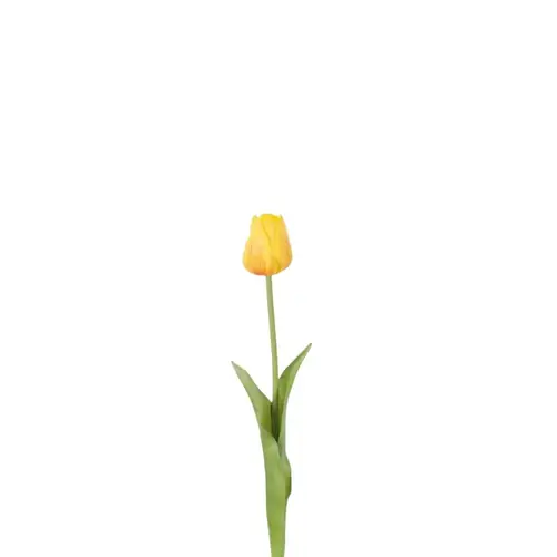 Seiden Tulpe gelb L46cm