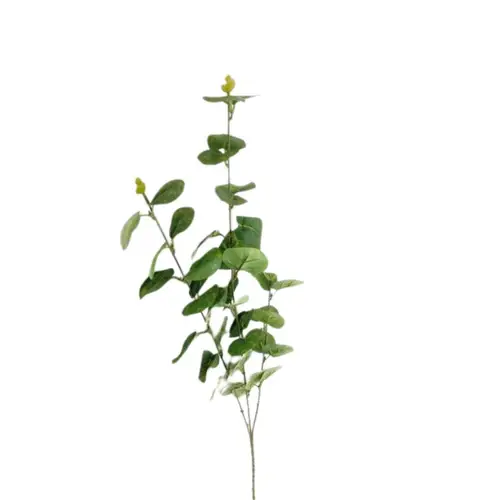 Seiden Eukalyptus grün L80cm