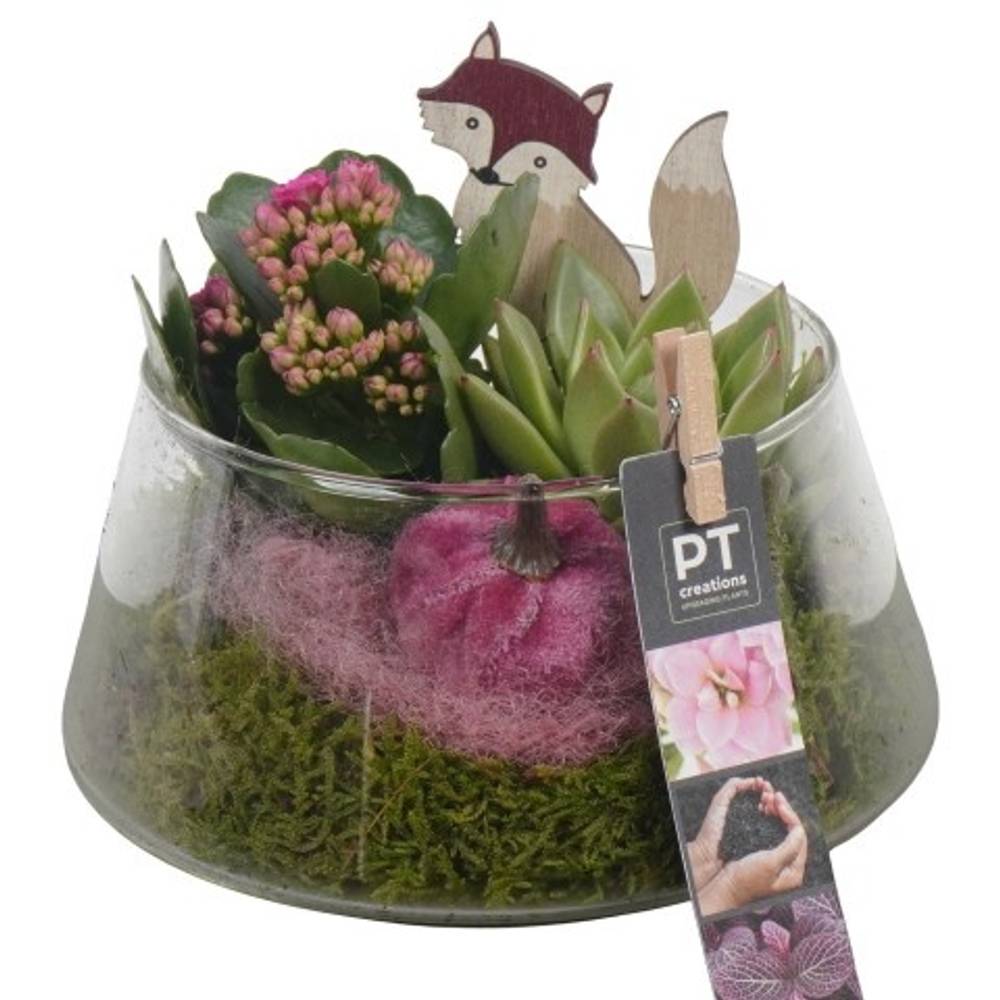 Kal.Arr PTHG3400 Herbst T18 H016