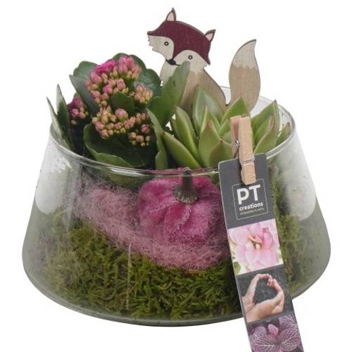 Kal.Arr PTHG3400 Herbst T18 H016