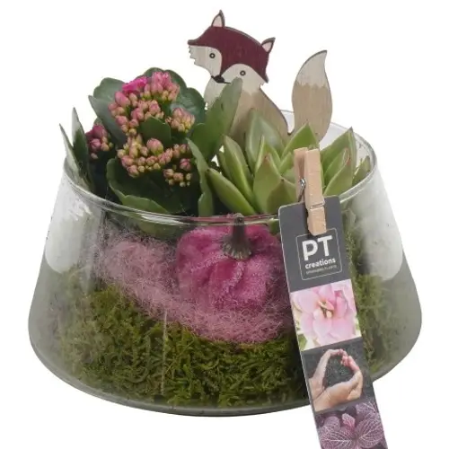 Kal.Arr PTHG3400 Herbst T18 H016