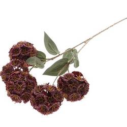 Seiden Scabiosa weinrot L87cm