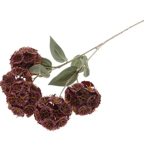 Seiden Scabiosa weinrot L87cm