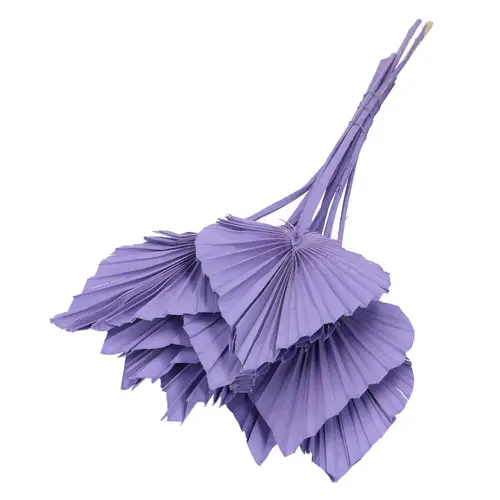 Trocken Palm Speere Violett L50cm x10
