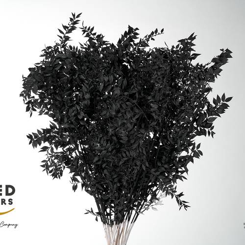 Wilder Ruskus schwarz gebleicht 70cm