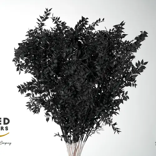 Wilder Ruskus schwarz gebleicht 70cm