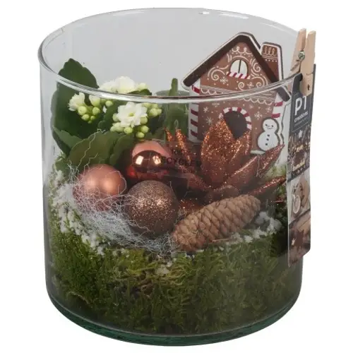 Kal.Arr PTCHB9875 Weihnachten T15 H020