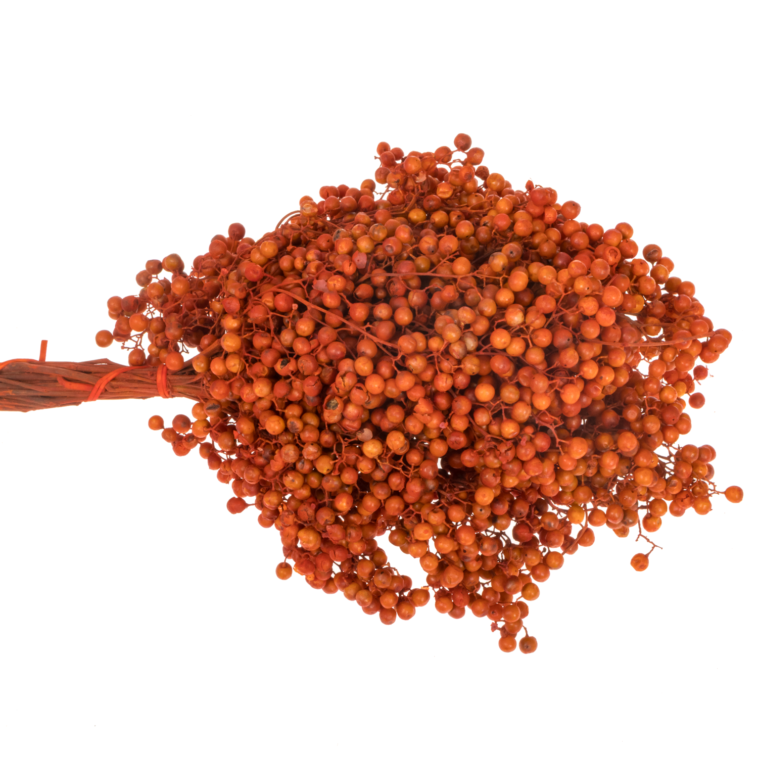 Pfeffer Berry orange gefärbt 175 Gramm