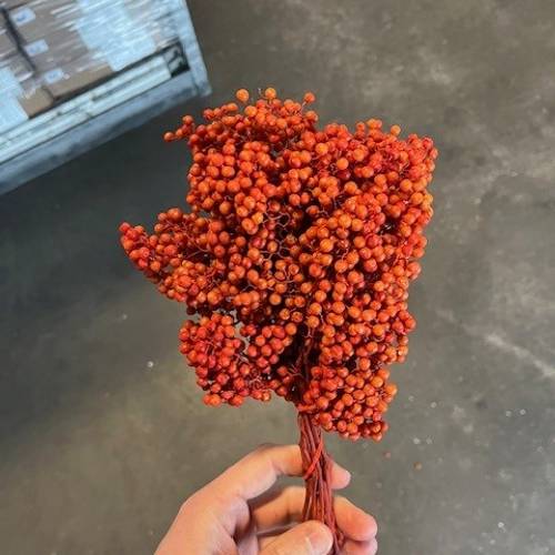 Pfeffer Berry orange gefärbt 175 Gramm