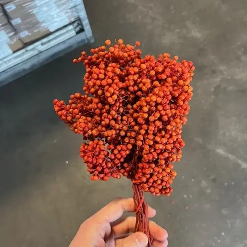 Pfeffer Berry orange gefärbt 175 Gramm