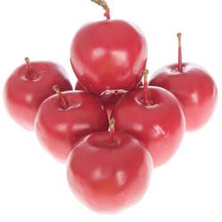 Apfel rot Wachs D5cm