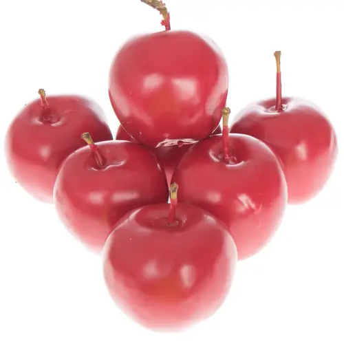 Apfel rot Wachs D5cm