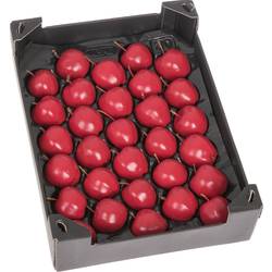 Apfel rot Wachs D5cm