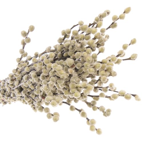 Kätzchen weiss Snowflake 80cm
