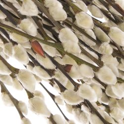 Kätzchen weiss Snowflake 80cm