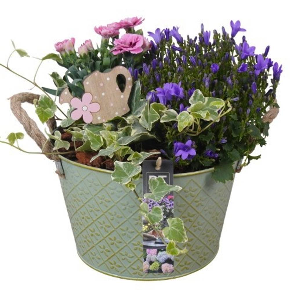 Garten.Arr PTPP6894 T21 H027