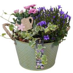 Garten.Arr PTPP6894 T21 H027