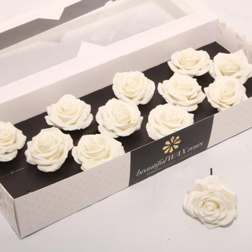 Seiden Wachs Rose weiss Soft D10cm (318)