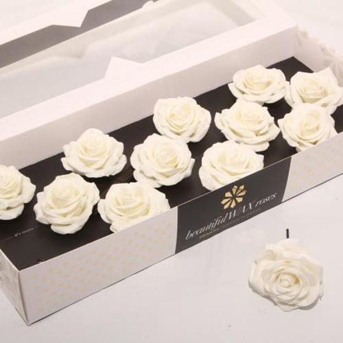 Seiden Wachs Rose weiss Soft D10cm (318)