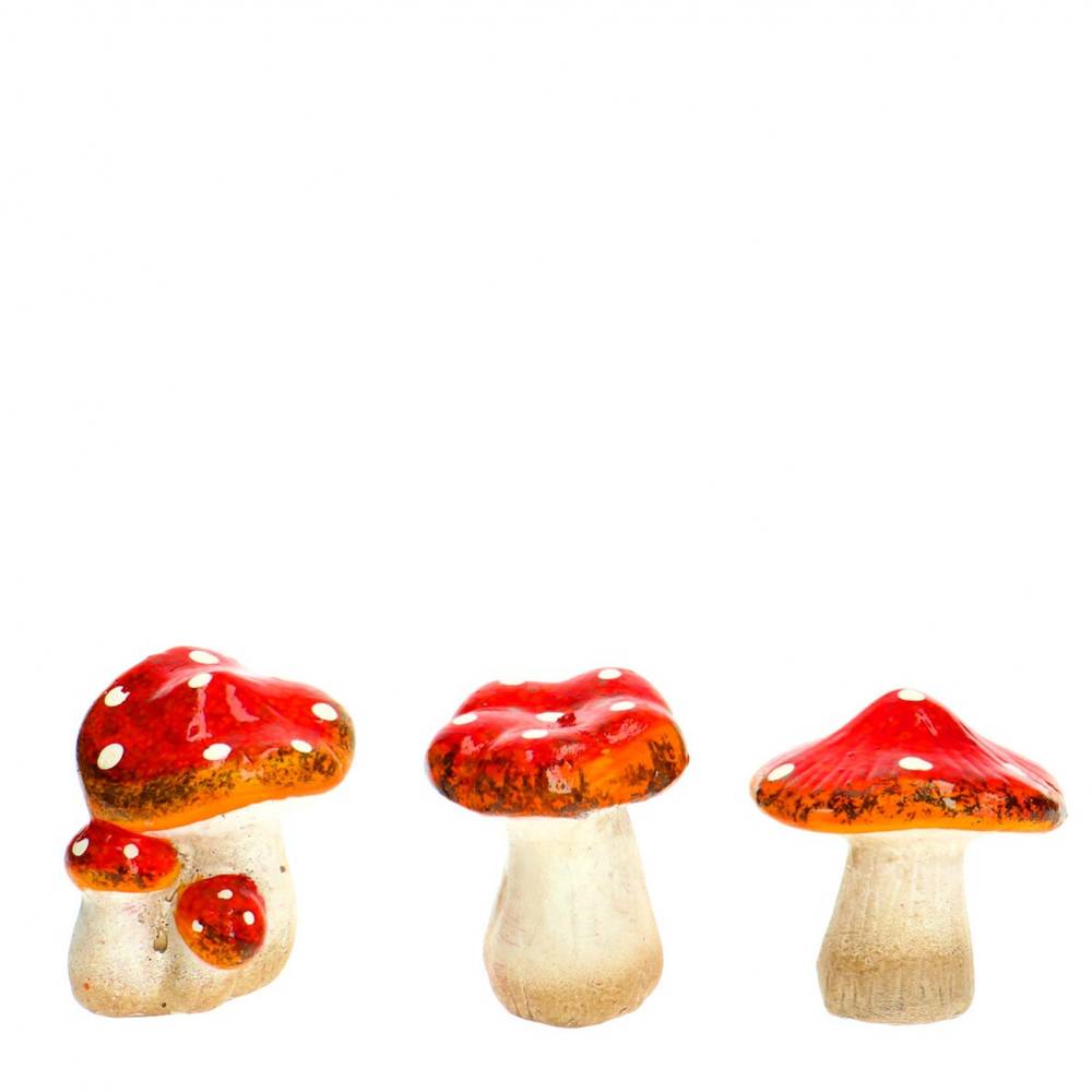 Deko Pilz mix D06x07cm