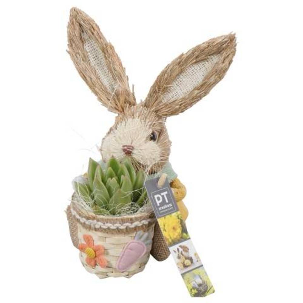 Ostern Arr PTPB3741 T15 H019