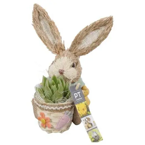 Ostern Arr PTPB3741 T15 H019