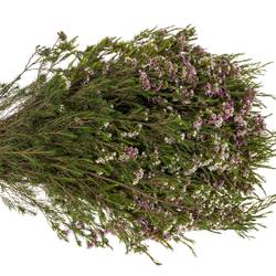 Wachsflower lila Niki 40 Gramm 70cm
