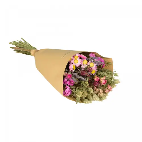 Trockenblumen Strauss Field rosa L50cm