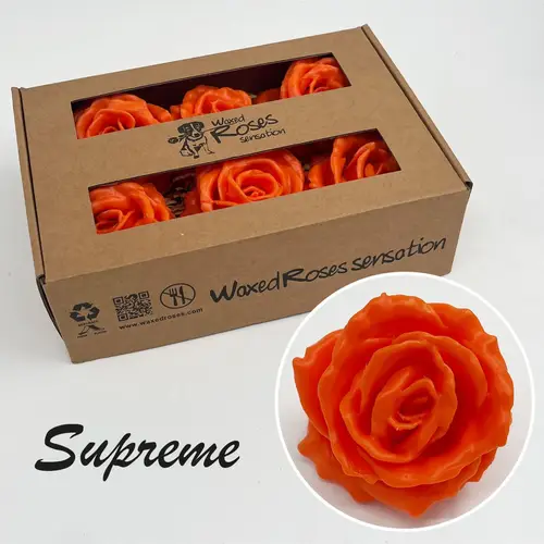 Seiden Wachs Rose Supreme orange