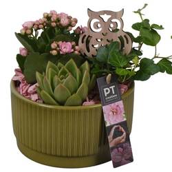 Kal.Arr PTHI5570 Herbst T16 H018