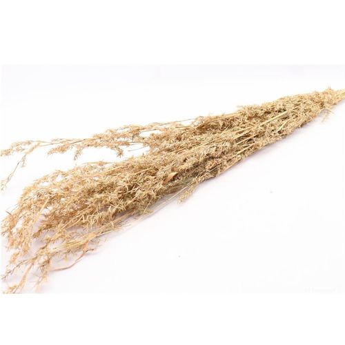 Trocken Beta Grass natur L100cm