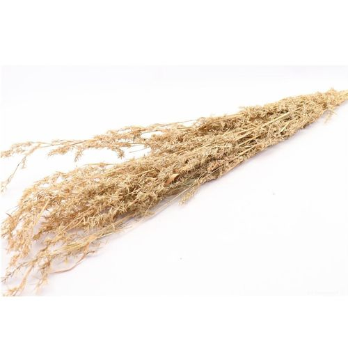 Trocken Beta Grass natur L100cm
