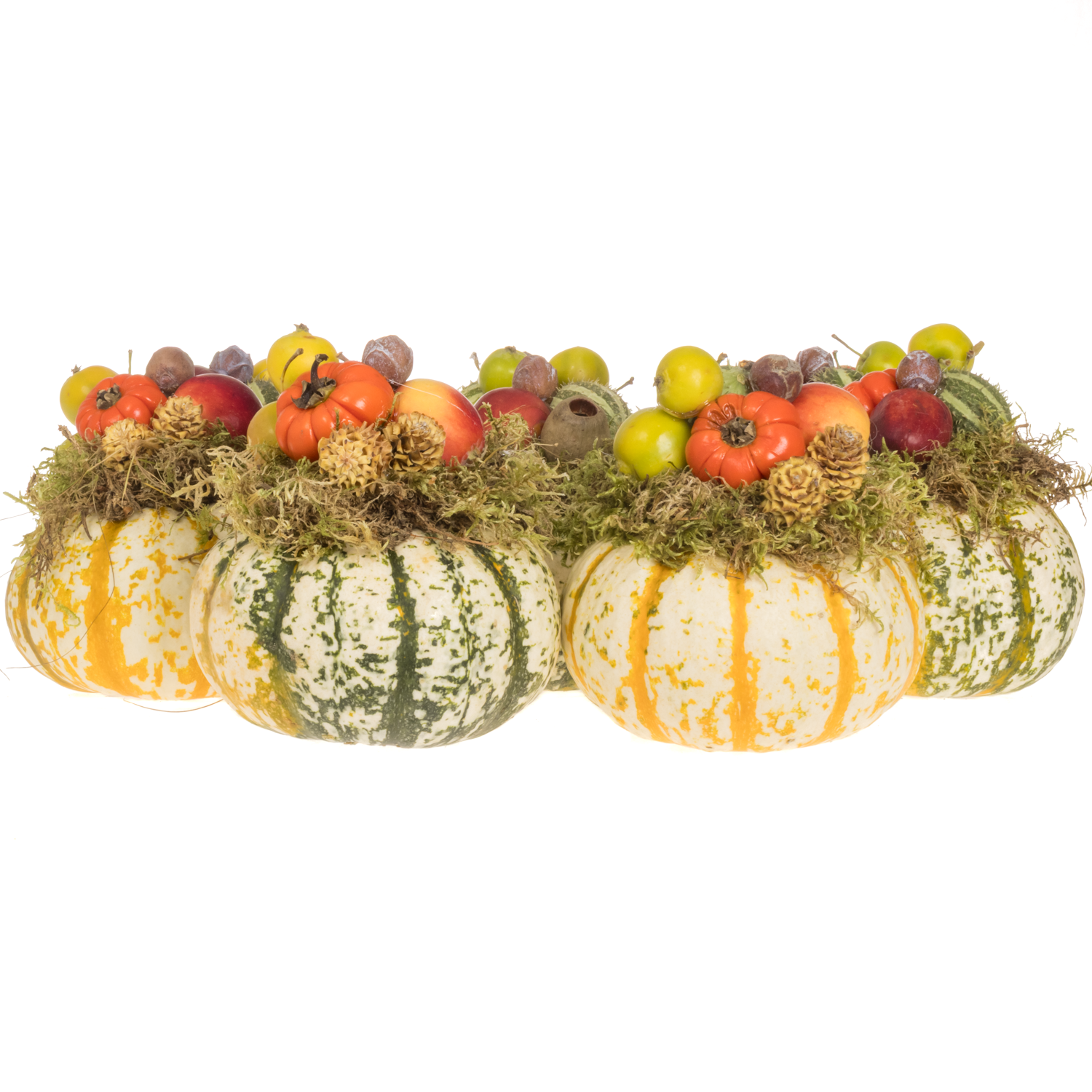 Zierkürbis Deko Pumpkemon 12cm