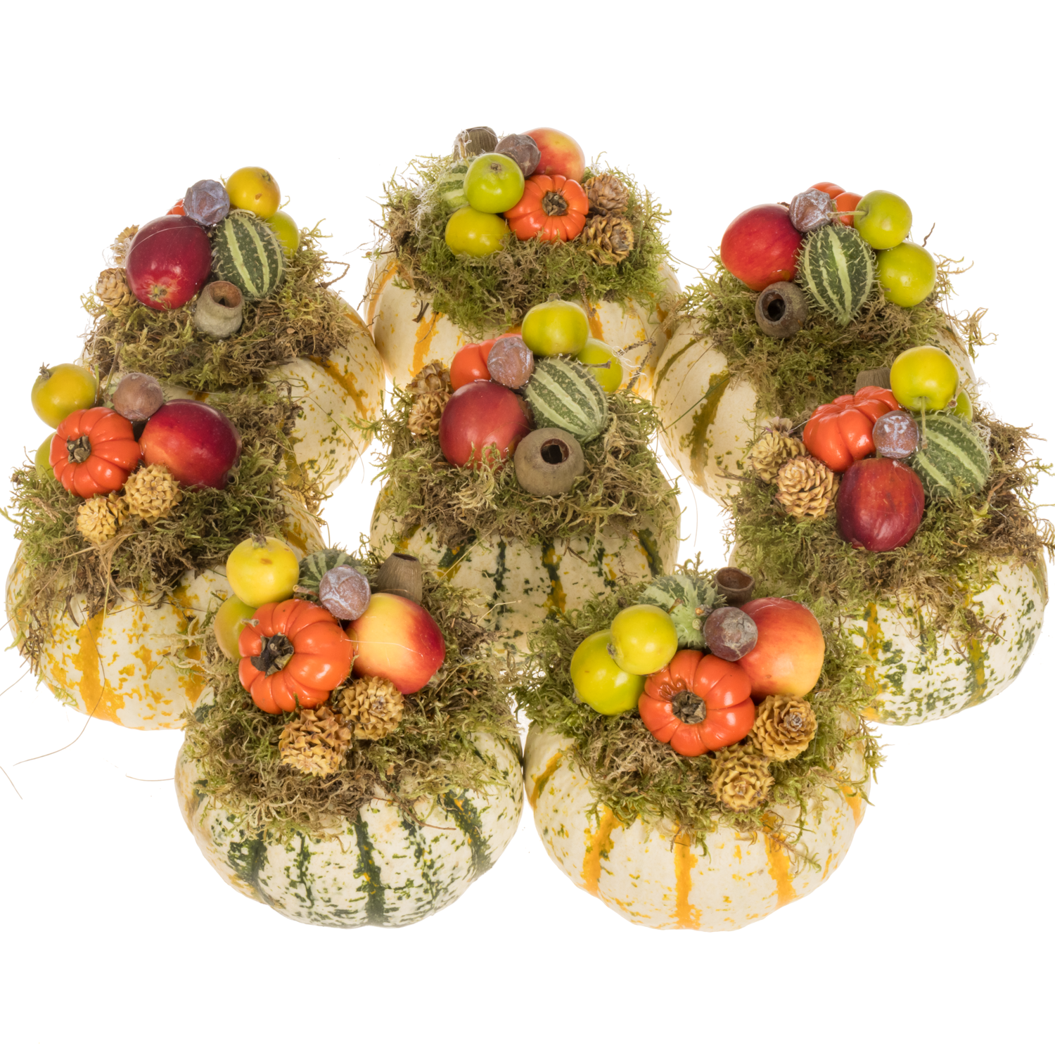 Zierkürbis mix Deko Pumpkemon 12cm (Zierkürbis) | Heyl