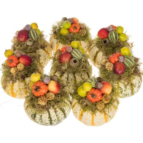 Zierkürbis Deko Pumpkemon 12cm