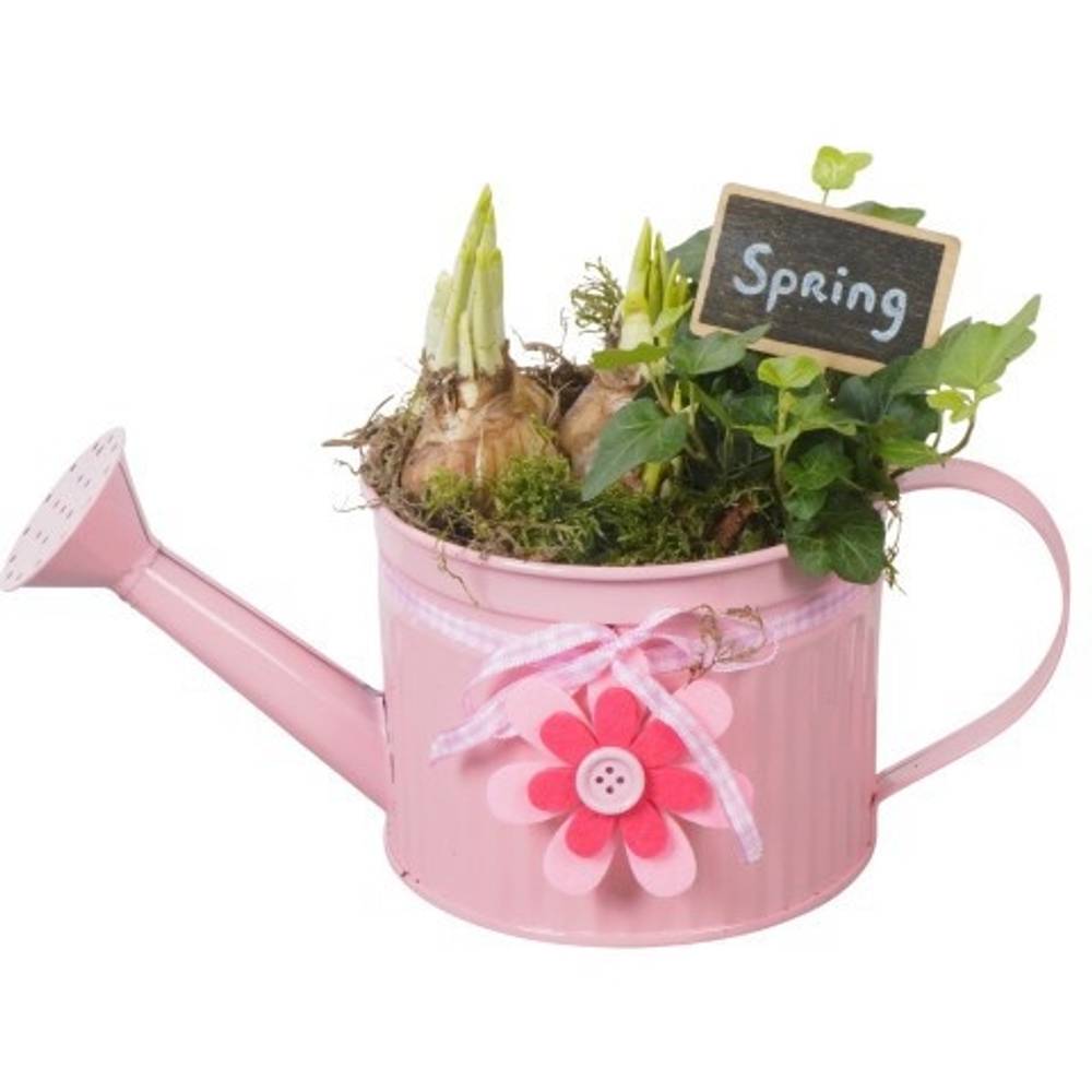 Garten.Arr PTBM3741 T12 H020