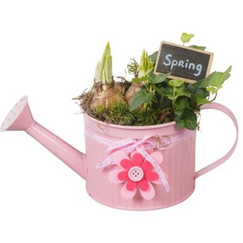 Garten.Arr PTBM3741 T12 H020