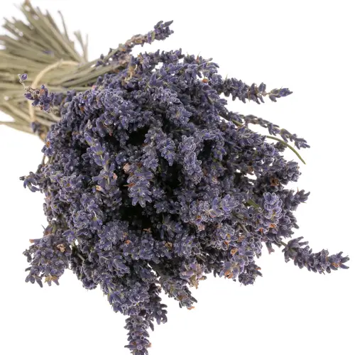 Trocken Lavendel Bl.Frankreich