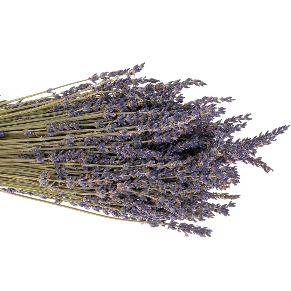 Trocken Lavendel Bl.Frankreich