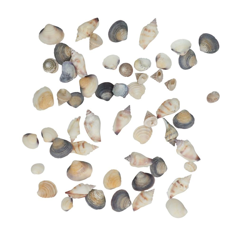 Muscheln mix 500gr