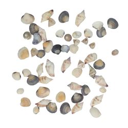 Muscheln mix 500gr
