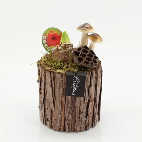 Amaryl.Arr-2524R Herbst rote Bl. T14 H025