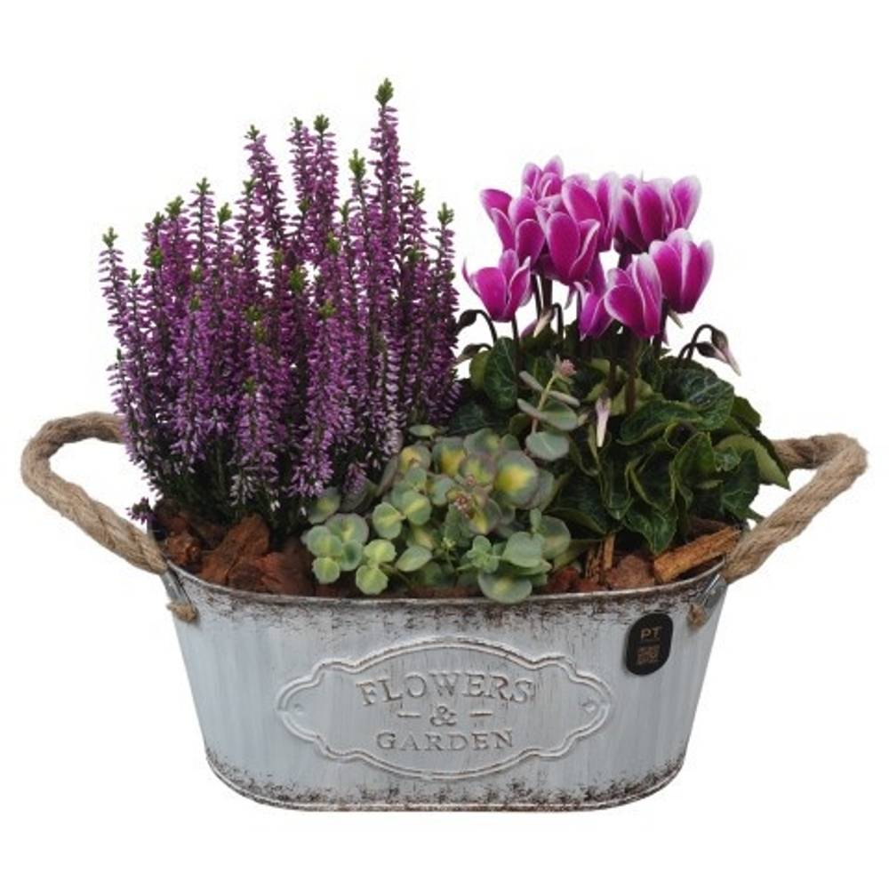 Garten.Arr PTHO7597 Herbst T24 H029