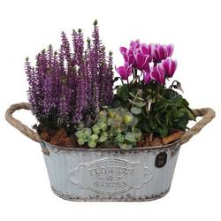 Garten.Arr PTHO7597 Herbst T24 H029