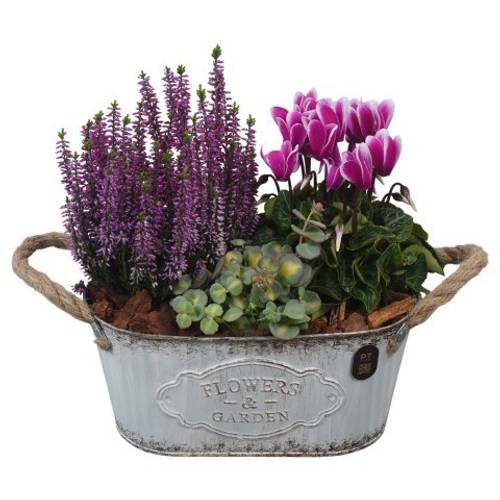 Garten.Arr PTHO7597 Herbst T24 H029