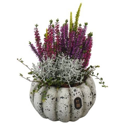 Garten.Arr PTHO7679 Herbst T17 H028