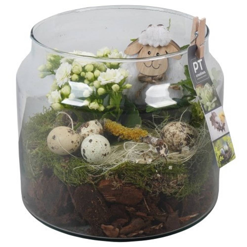 Kal.Arr PTPG9342 Ostern T19 H023