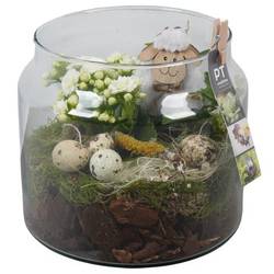 Kal.Arr PTPG9342 Ostern T19 H023