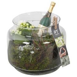 Kal.Arr PTON7949 Silvester T16 H018